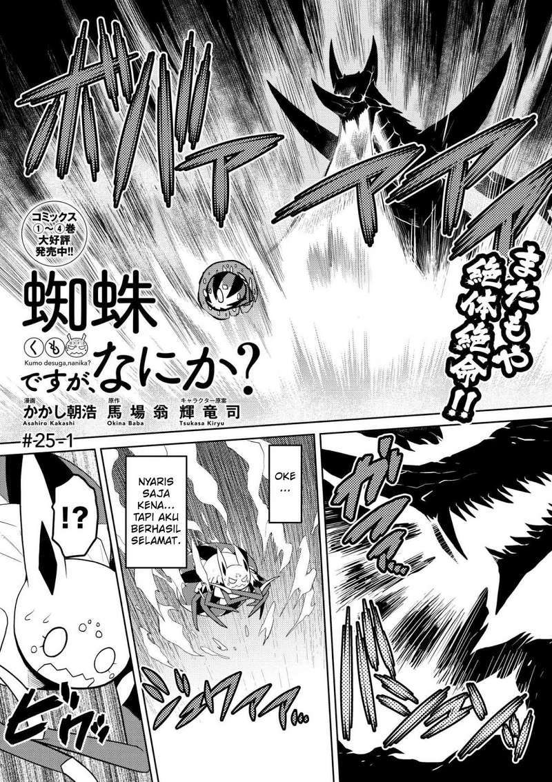 Kumo desu ga, Nani Ka?